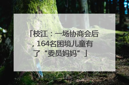 枝江：一场协商会后，164名困境儿童有了“委员妈妈”