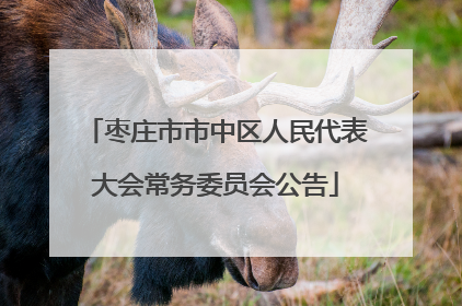 枣庄市市中区人民代表大会常务委员会公告