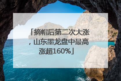 摘帽后第二次大涨，山东墨龙盘中最高涨超160%