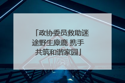 政协委员救助迷途野生麋鹿 携手共筑和谐家园