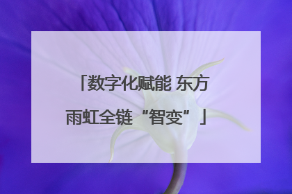 数字化赋能 东方雨虹全链“智变”