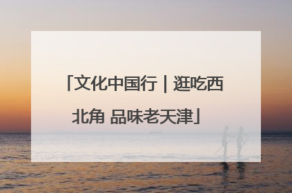 文化中国行｜逛吃西北角 品味老天津
