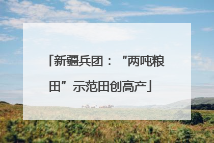 新疆兵团：“两吨粮田”示范田创高产