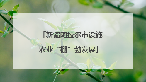 新疆阿拉尔市设施农业“棚”勃发展