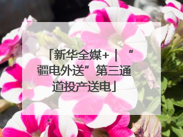 新华全媒+｜“疆电外送”第三通道投产送电