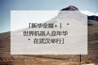 新华全媒+丨“世界机器人嘉年华”在武汉举行