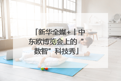 新华全媒+丨中东欧博览会上的“数智”科技秀