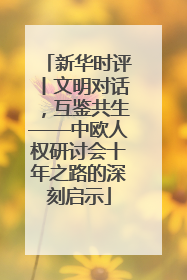 新华时评丨文明对话，互鉴共生——中欧人权研讨会十年之路的深刻启示