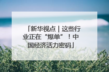 新华视点｜这些行业正在“爆单”！中国经济活力密码