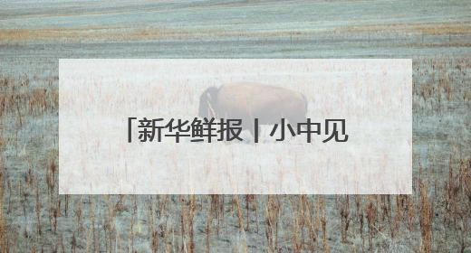 新华鲜报丨小中见大！这个博览会专为全球中小企业搭台
