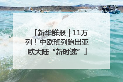 新华鲜报｜11万列！中欧班列跑出亚欧大陆“新时速”