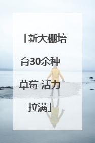 新大棚培育30余种草莓 活力拉满