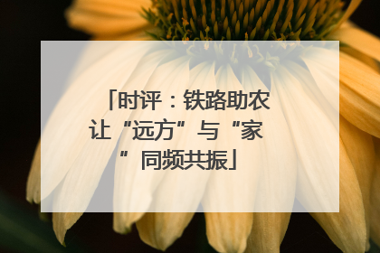 时评：铁路助农让“远方”与“家”同频共振