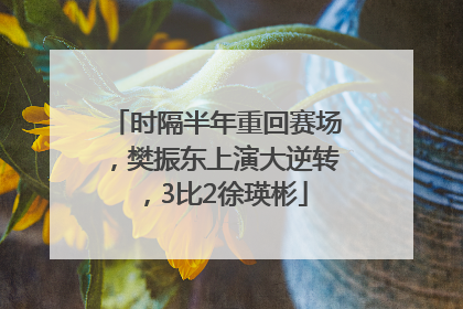 时隔半年重回赛场，樊振东上演大逆转，3比2徐瑛彬