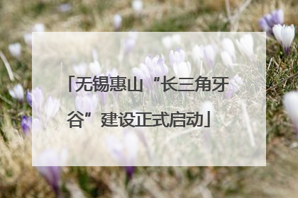 无锡惠山“长三角牙谷”建设正式启动