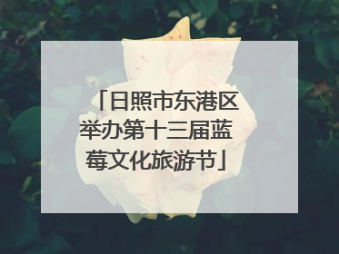 日照市东港区举办第十三届蓝莓文化旅游节