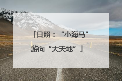 日照：“小海马”游向“大天地”