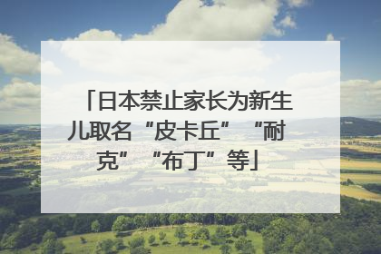 日本禁止家长为新生儿取名“皮卡丘”“耐克”“布丁”等