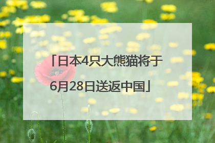 日本4只大熊猫将于6月28日送返中国