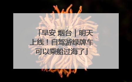 早安 烟台｜明天上线！自驾游绿牌车可以乘船过海了