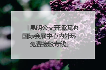 昆明公交开通滇池国际会展中心内外环免费接驳专线
