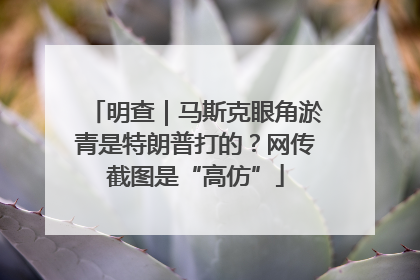明查｜马斯克眼角淤青是特朗普打的？网传截图是“高仿”