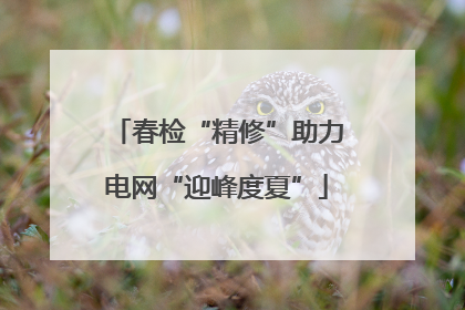 春检“精修”助力电网“迎峰度夏”