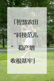 智慧农田“科技范儿” 稳产增收根基牢
