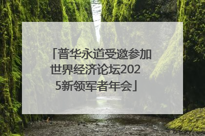 普华永道受邀参加世界经济论坛2025新领军者年会