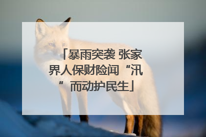 暴雨突袭 张家界人保财险闻“汛”而动护民生