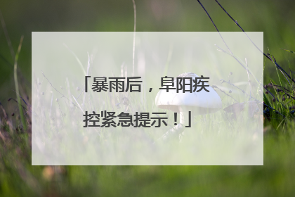 暴雨后，阜阳疾控紧急提示！