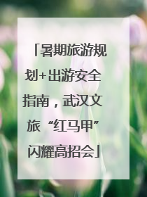 暑期旅游规划+出游安全指南，武汉文旅“红马甲”闪耀高招会