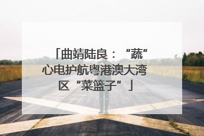 曲靖陆良：“蔬”心电护航粤港澳大湾区“菜篮子”