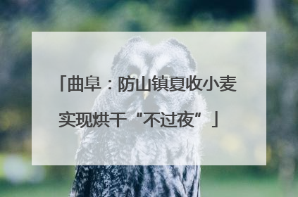 曲阜：防山镇夏收小麦实现烘干“不过夜”