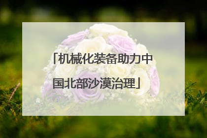 机械化装备助力中国北部沙漠治理
