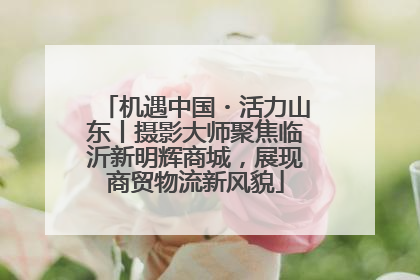 机遇中国・活力山东丨摄影大师聚焦临沂新明辉商城，展现商贸物流新风貌