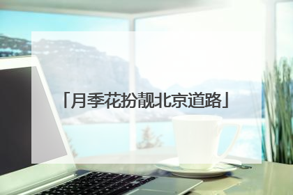 月季花扮靓北京道路