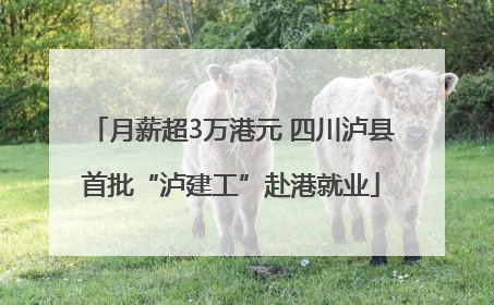 月薪超3万港元 四川泸县首批“泸建工”赴港就业