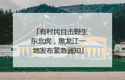 有村民目击野生东北虎，黑龙江一地发布紧急通知