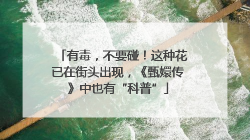 有毒，不要碰！这种花已在街头出现，《甄嬛传》中也有“科普”