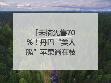 未摘先售70%！丹巴“美人脆”苹果尚在枝头就被预订｜长征路上看四川