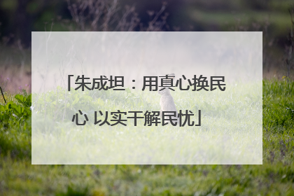 朱成坦：用真心换民心 以实干解民忧