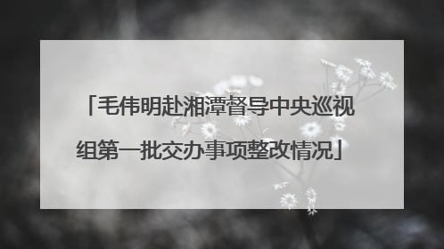 毛伟明赴湘潭督导中央巡视组第一批交办事项整改情况
