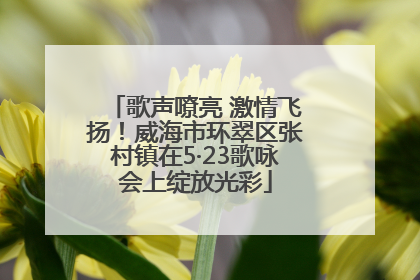 歌声嘹亮 激情飞扬！威海市环翠区张村镇在5·23歌咏会上绽放光彩