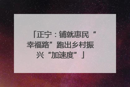 正宁：铺就惠民“幸福路”跑出乡村振兴“加速度”