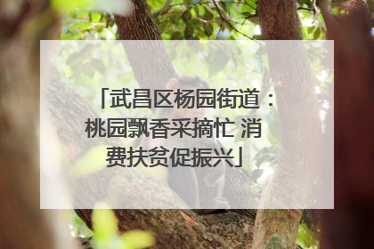 武昌区杨园街道：桃园飘香采摘忙 消费扶贫促振兴