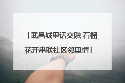 武昌城里话交融 石榴花开串联社区邻里情