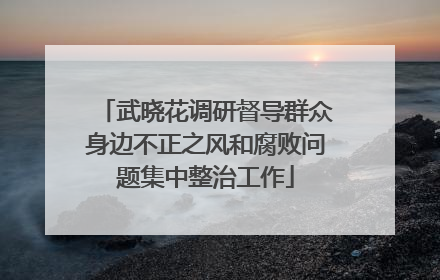 武晓花调研督导群众身边不正之风和腐败问题集中整治工作
