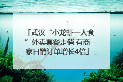 武汉“小龙虾一人食”外卖套餐走俏 有商家日销订单增长4倍