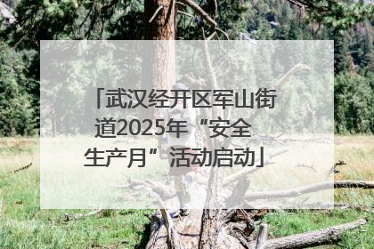武汉经开区军山街道2025年“安全生产月”活动启动